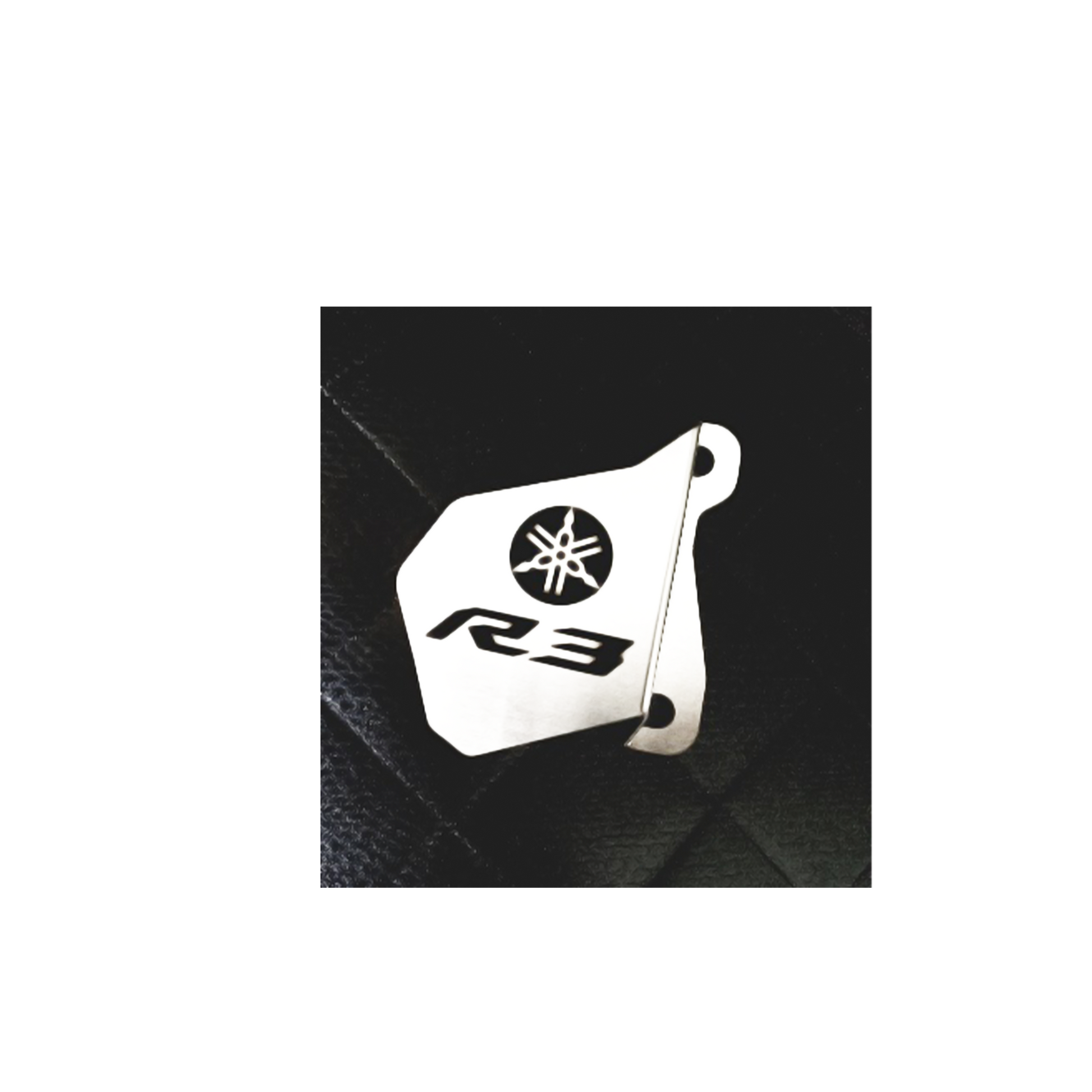 PROTECTOR CALIPER R3