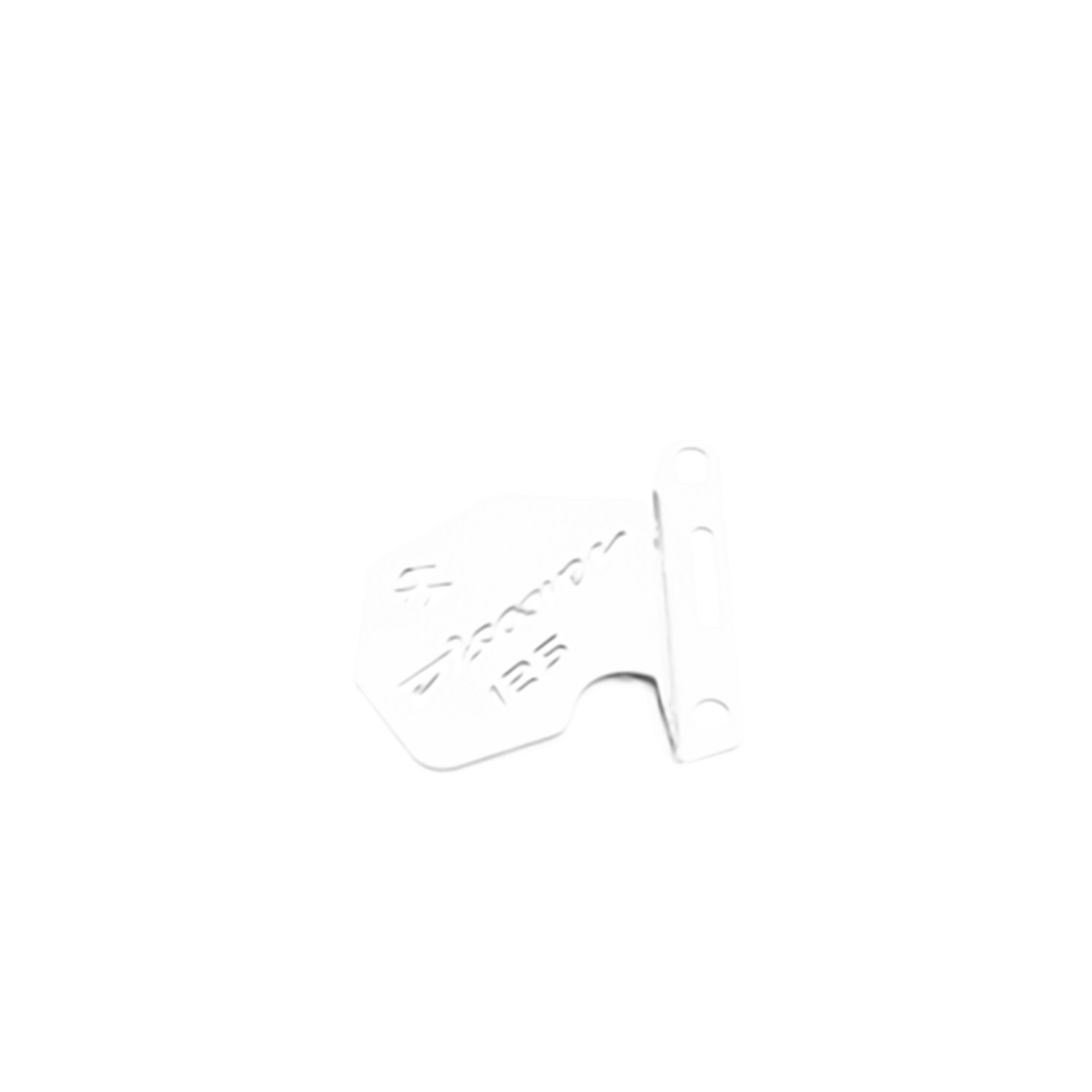 PROTECTOR CALIPER DISCOVER 125