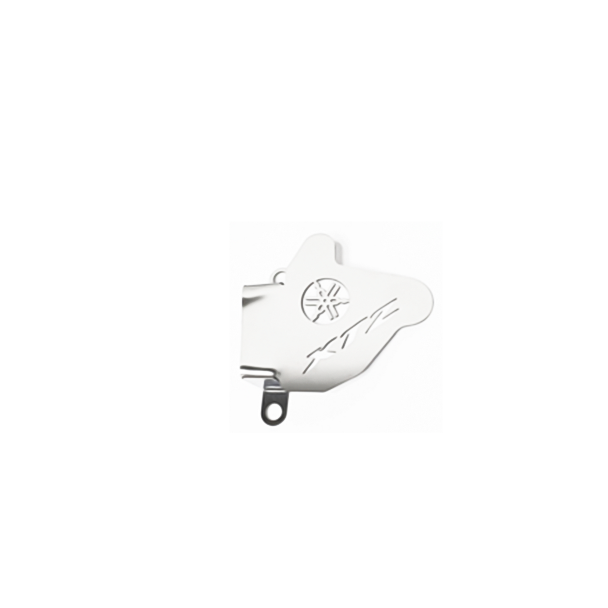 PROTECTOR CALIPER XTZ