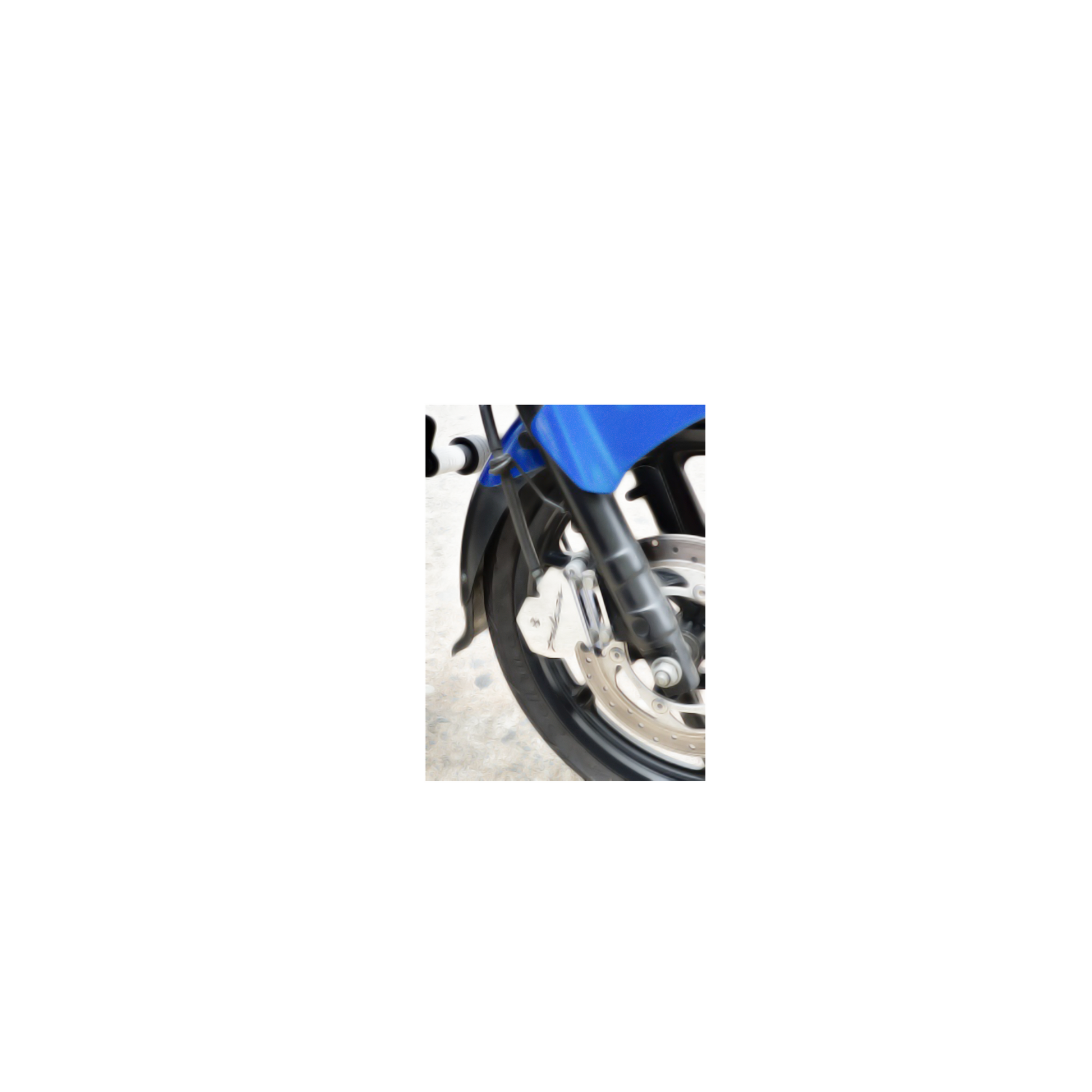 PROTECTOR CALIPER PULSAR 180