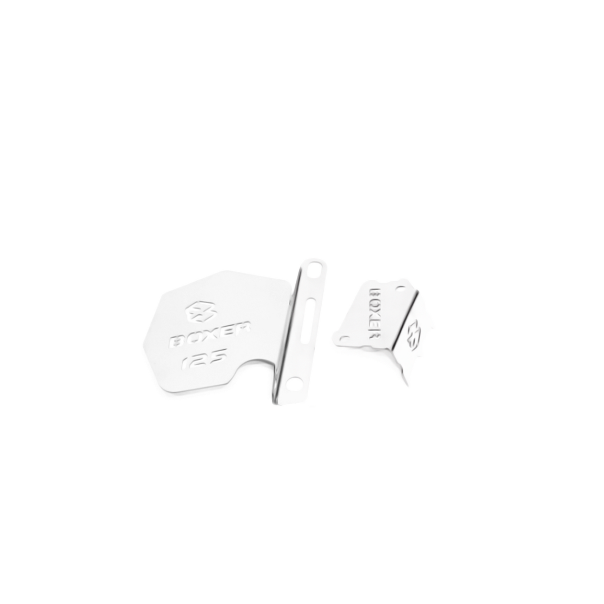 PROTECTOR CALIPER BOXER 125