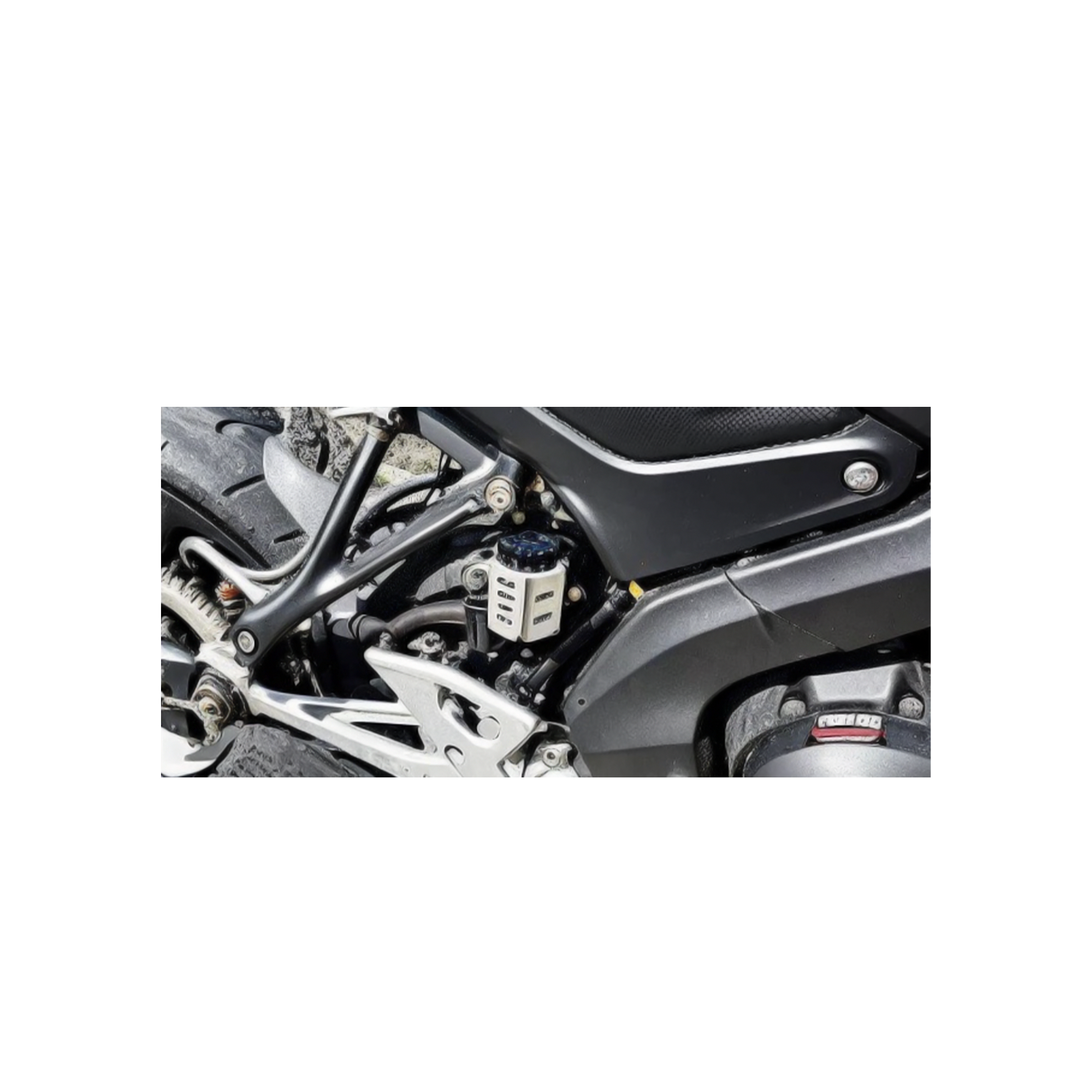 PROTECTOR BOMBA TRASERA MT 15