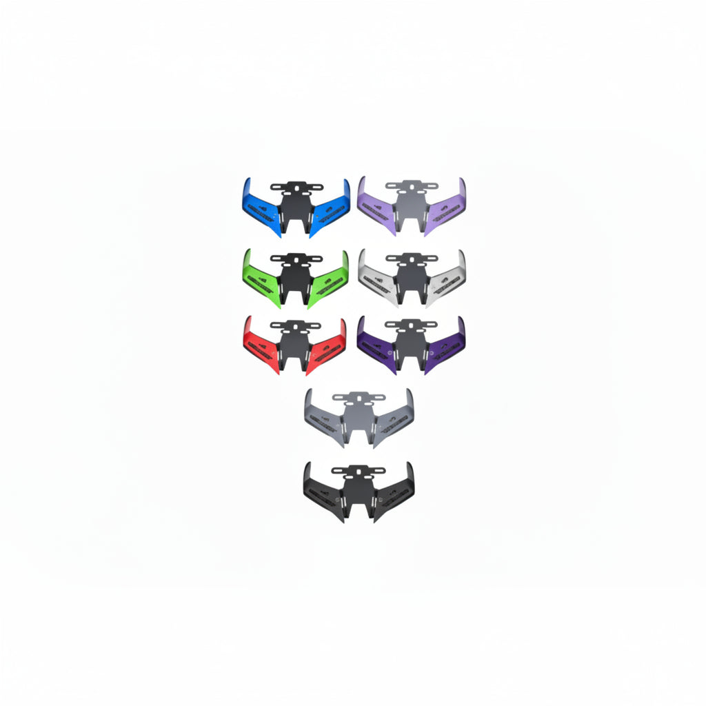 ALERON TVS RAIDER 125